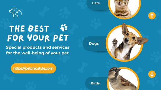 Golden Tips: Essential Care to Keep Your Pet Happy and Healthy!