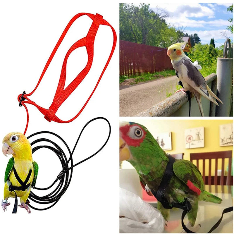 Training Flying Traction Rope Anti-Bite Training Rope Bird Leash Parrot Flying Rope Parrot Harness Bird Harness Leash