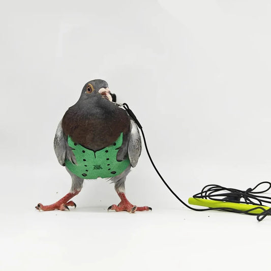 Parrot Pigeon Harness And Leash Flying Anti-bite Traction Rope Straps Bird Training Outdoor Carrying Adjustable Bird Pet Product