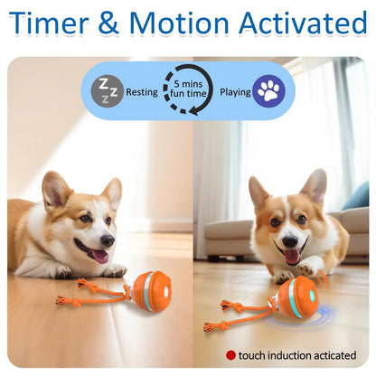 Smart Dog Toy Ball Motion Activated Interactive Small Dog Toys Rotating Teaser Ball Pet Puppy Cleaning Teeth Chew Toys Knot Rope