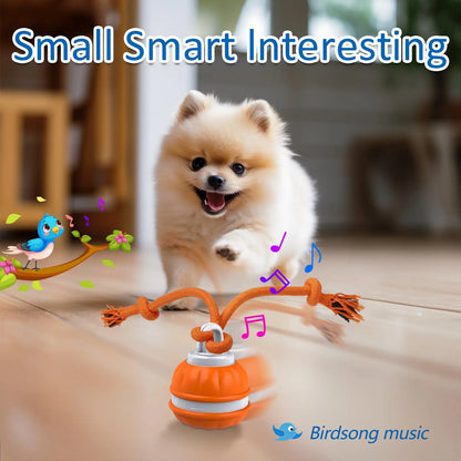 Smart Dog Toy Ball Motion Activated Interactive Small Dog Toys Rotating Teaser Ball Pet Puppy Cleaning Teeth Chew Toys Knot Rope