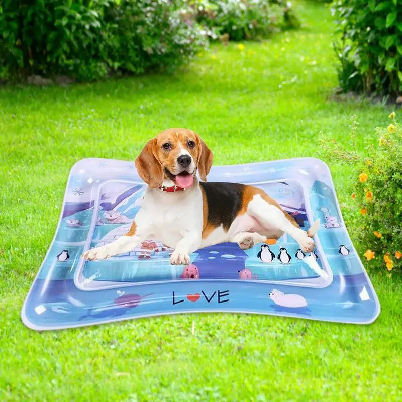 Water Play Mat For Cats Water Mat For Cat And Dog Thickened Water Sensory Playmat With Fish For Pet Play Water Sensory Pad For