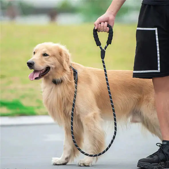 Reflective Dog Leash